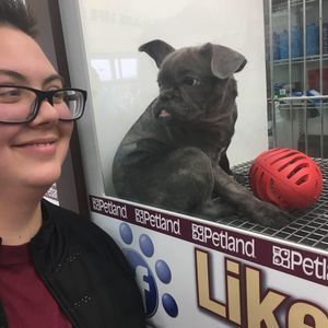 Meet your Posher, Hayley